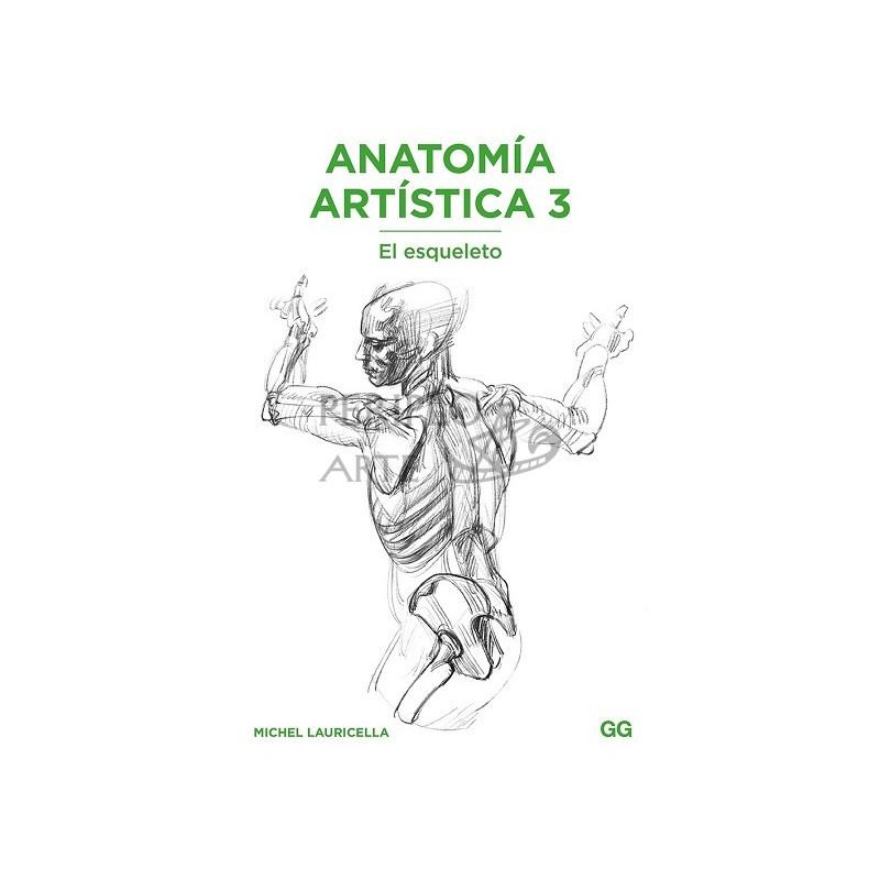 Anatomía artística 3  El esqueleto