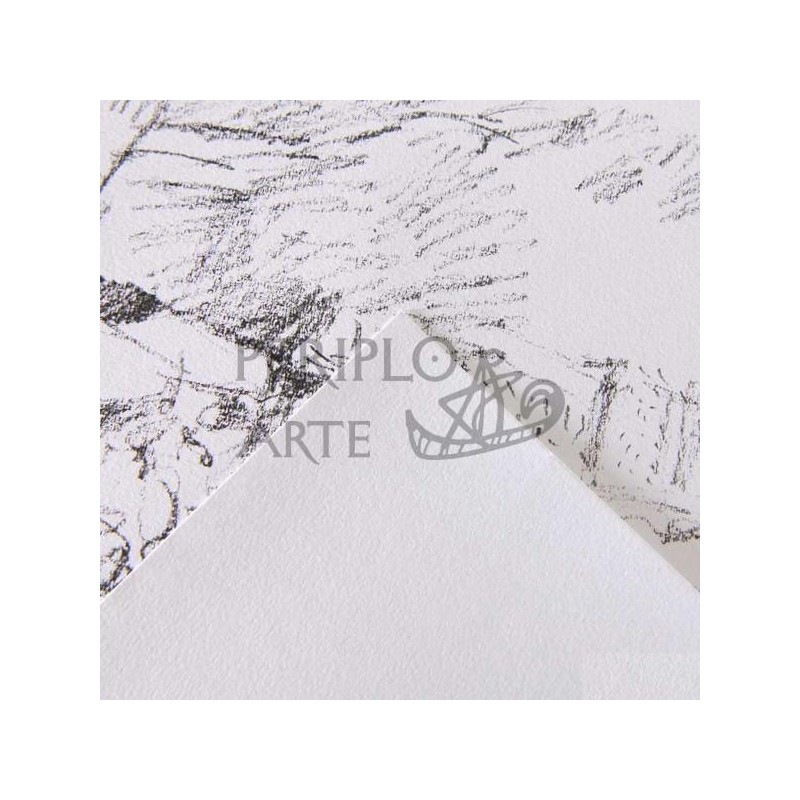 Hoja Canson 1557 70x110cm 180g Hoja Canson 1557 70x110cm 180g