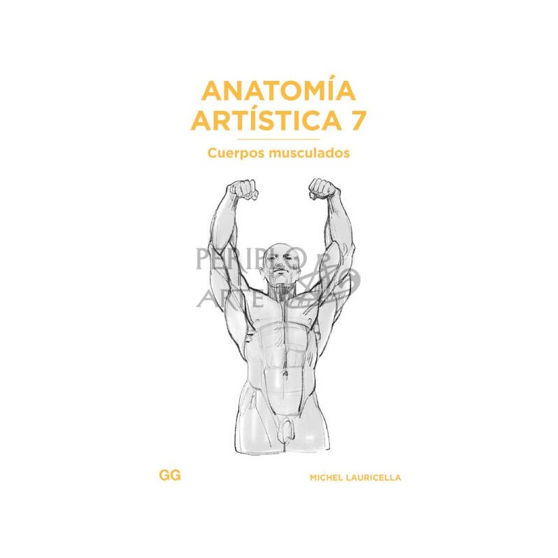 Anatomía artística 7. Cuerpos musculados