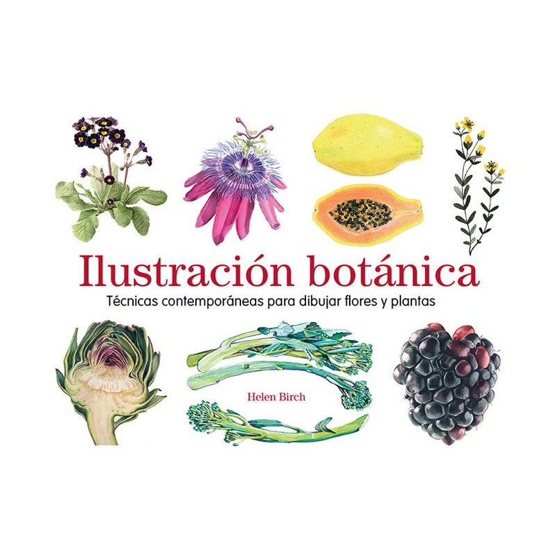 Ilustración botánica  Helen Birch