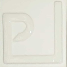 Engobe blanco ENSP-00 polvo 100g